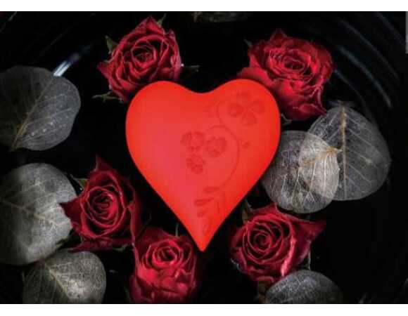 Coeur d'amour 2 vibro rouge